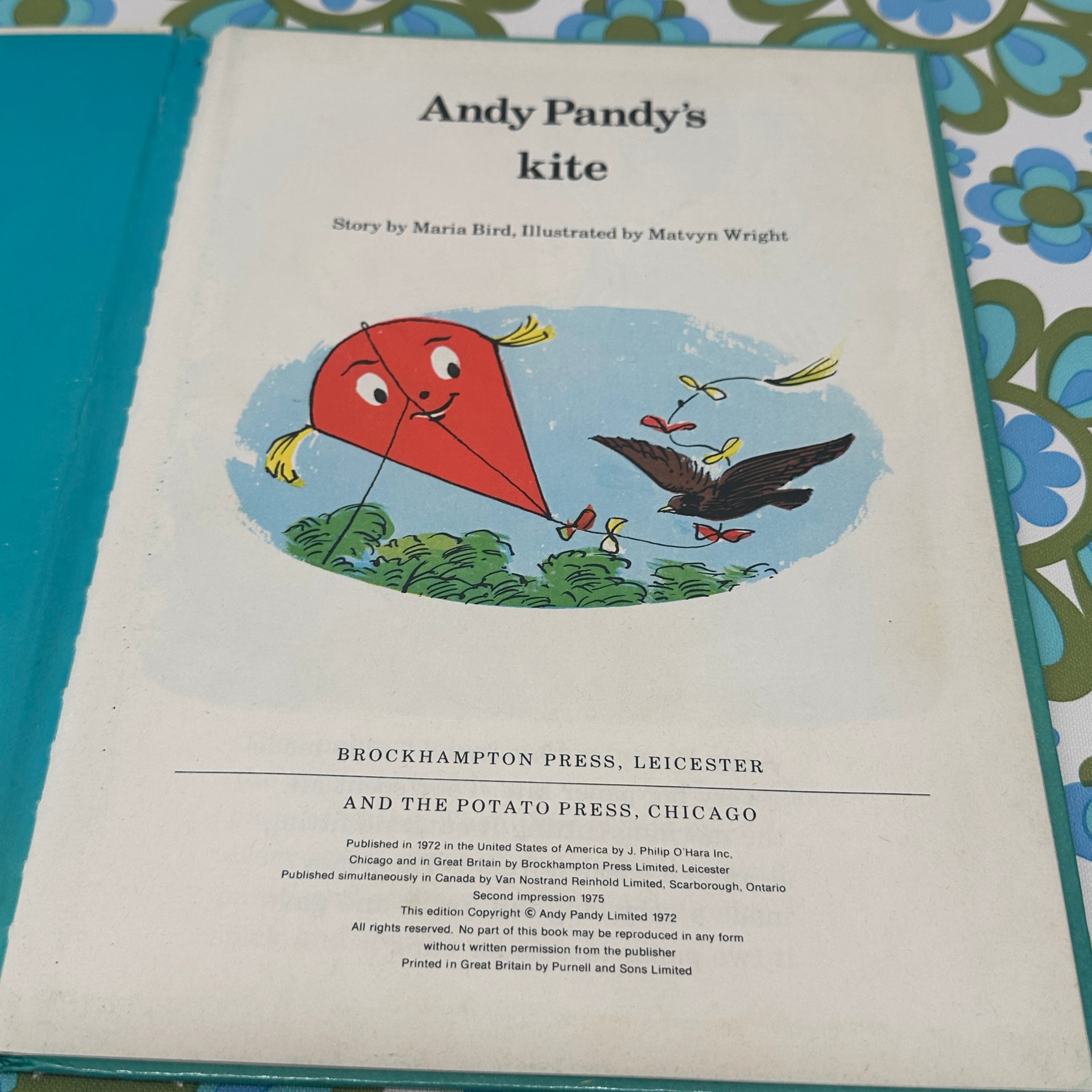 Andy Pandy's Kite Hard Cover Maria Bird