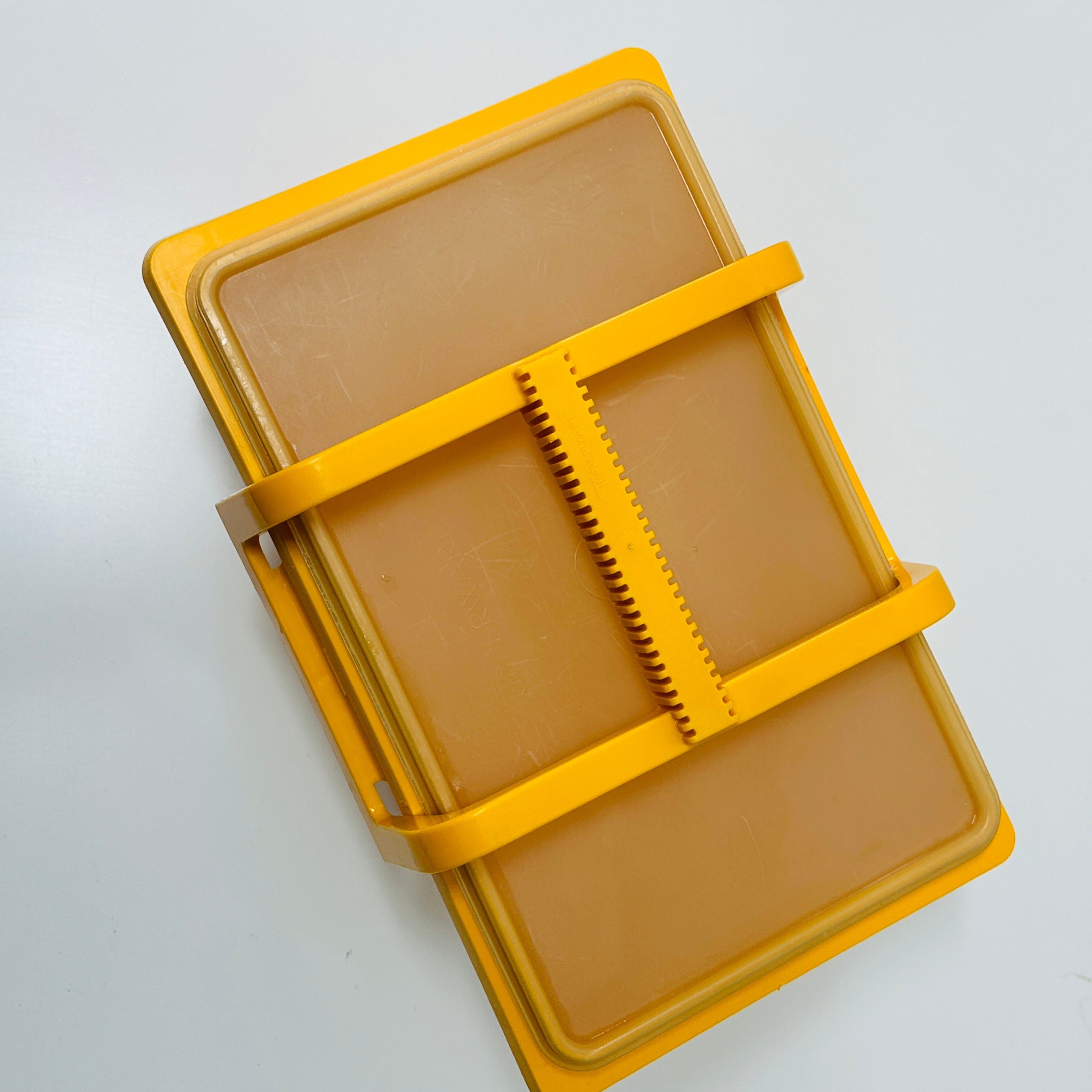 Retro TUPPERWARE Carry All