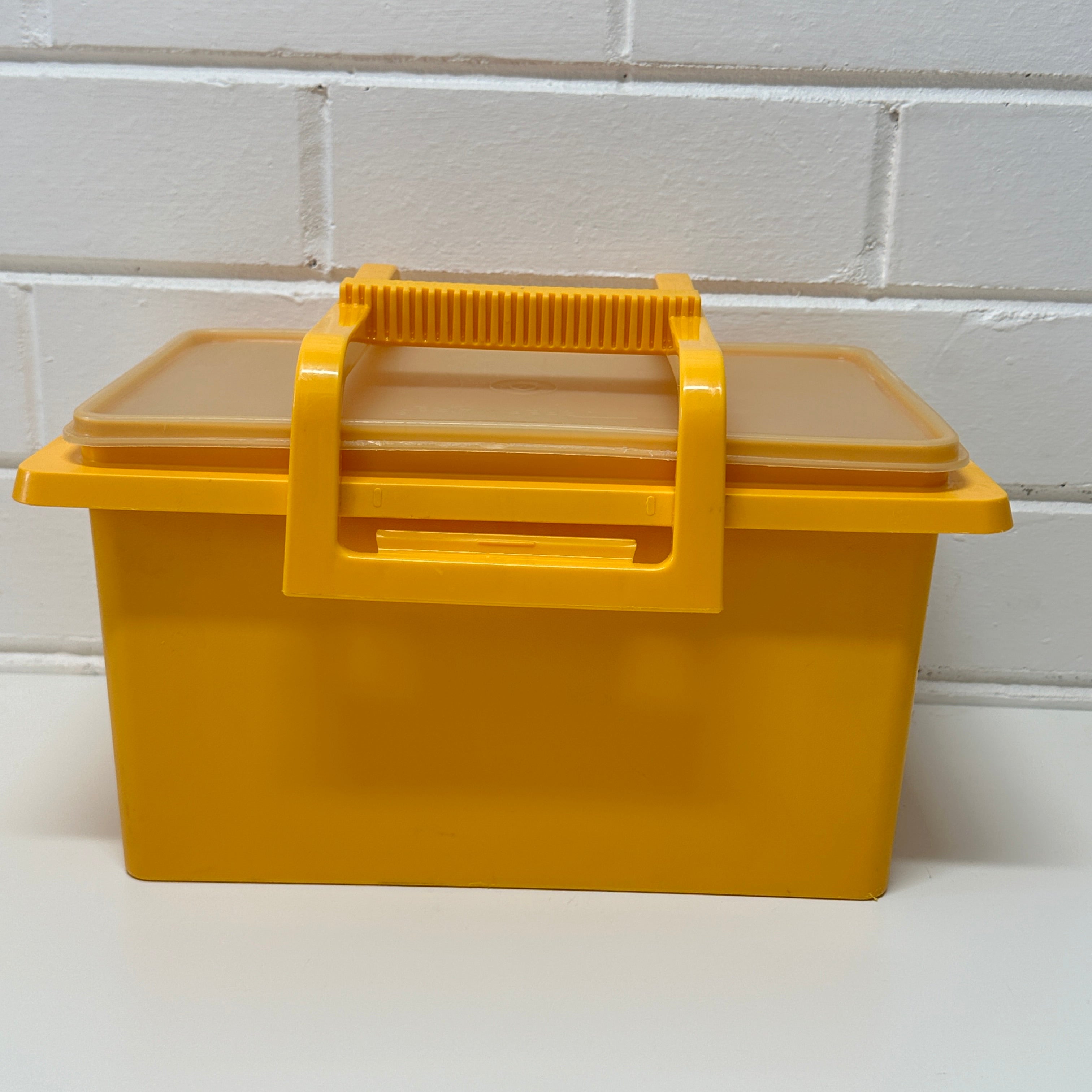 Retro TUPPERWARE Carry All