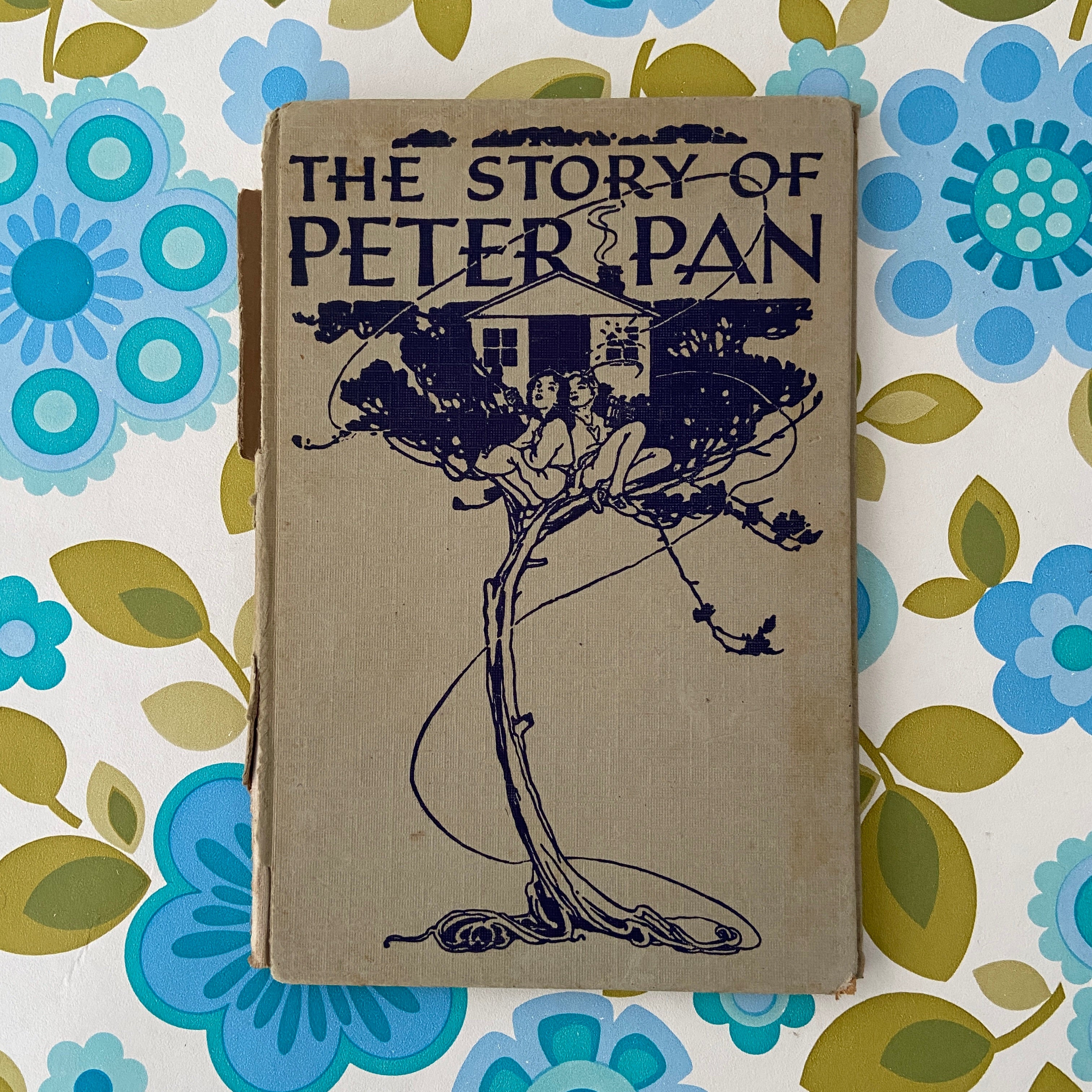 The Story of Peter Pan Vintage Book
