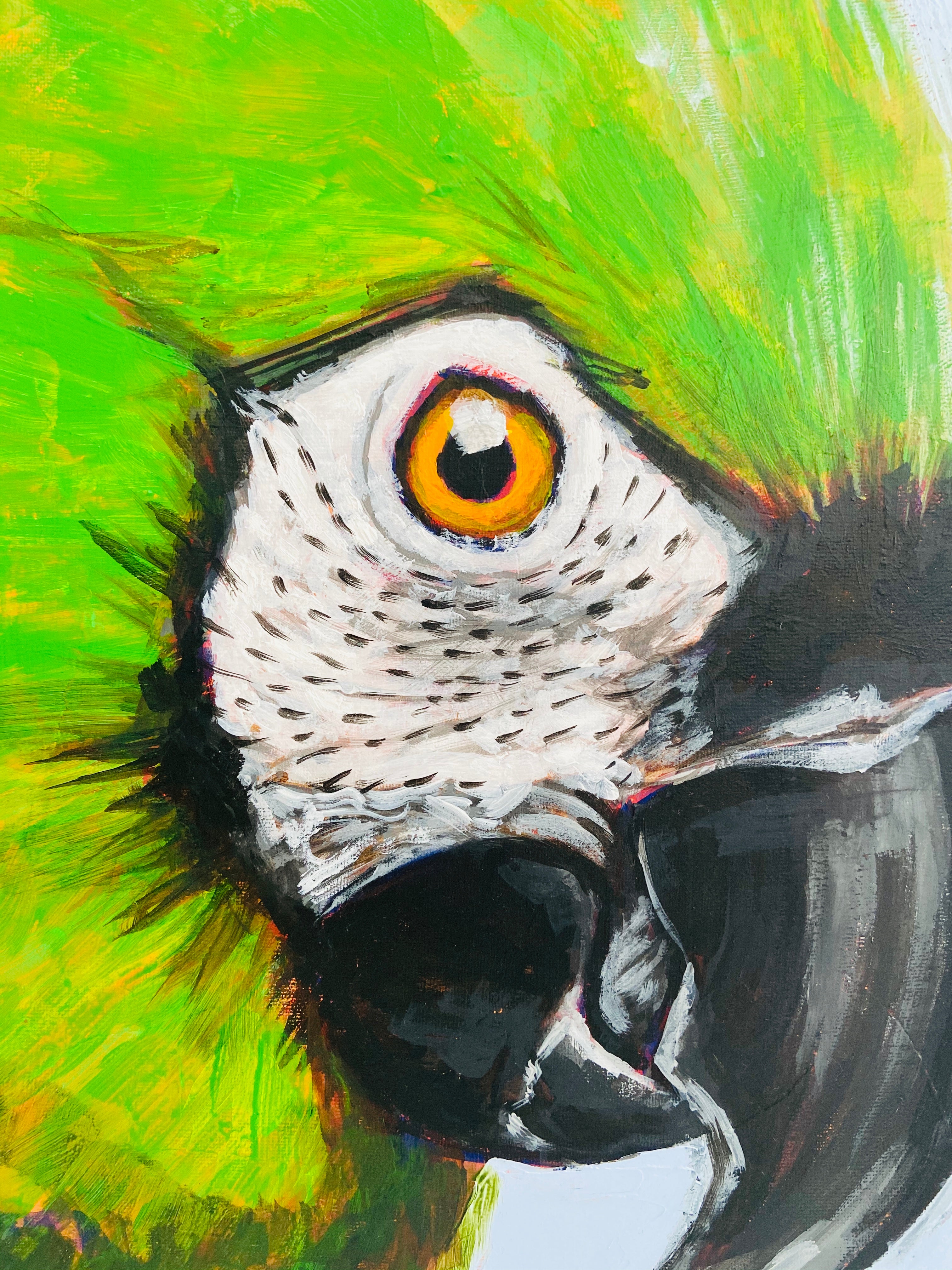 STRIKING Chestnut Fronted Macaw PAINTING Original ONE OF A KIND