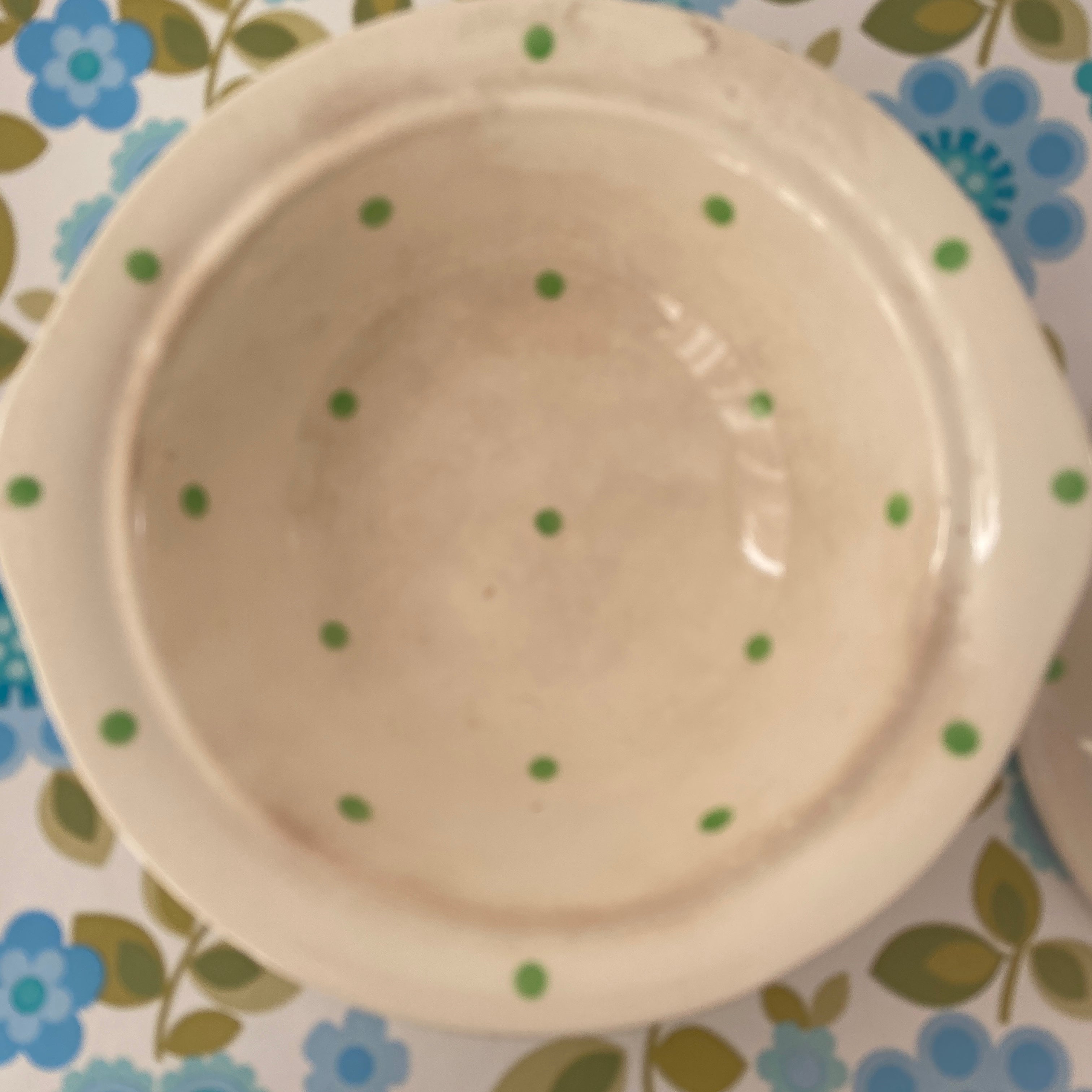 POLKA DOT Green Vintage Casserole Dish Country Home