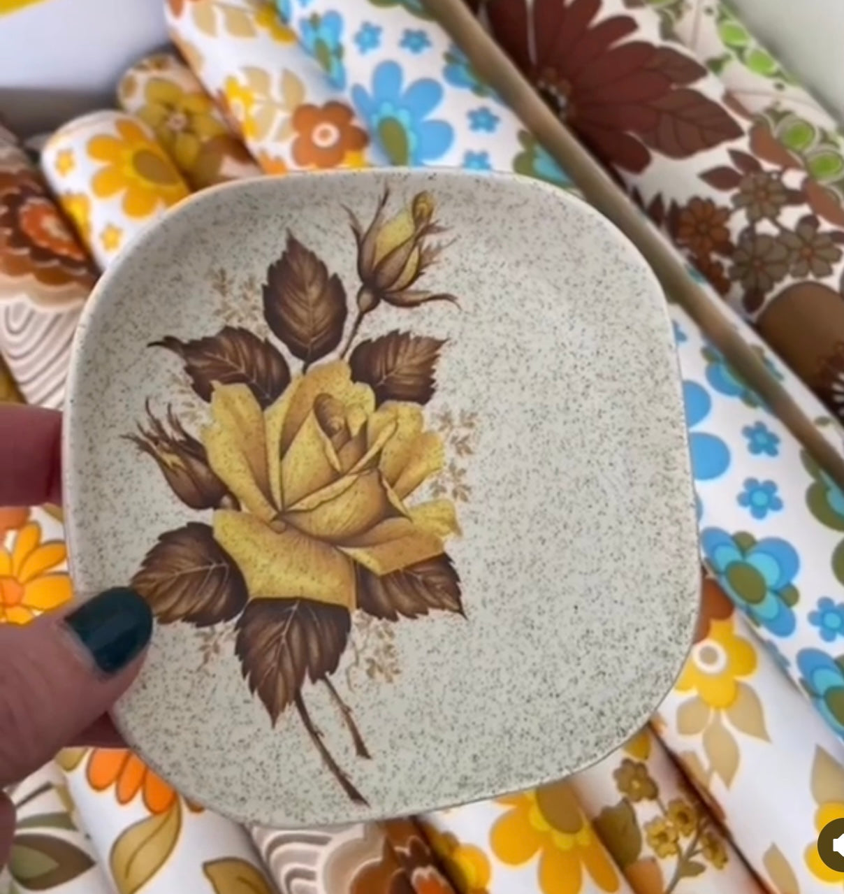 Wade – Pink Peacock