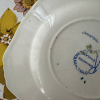 Royal WINTON Pelham Plates FIVE Vintage