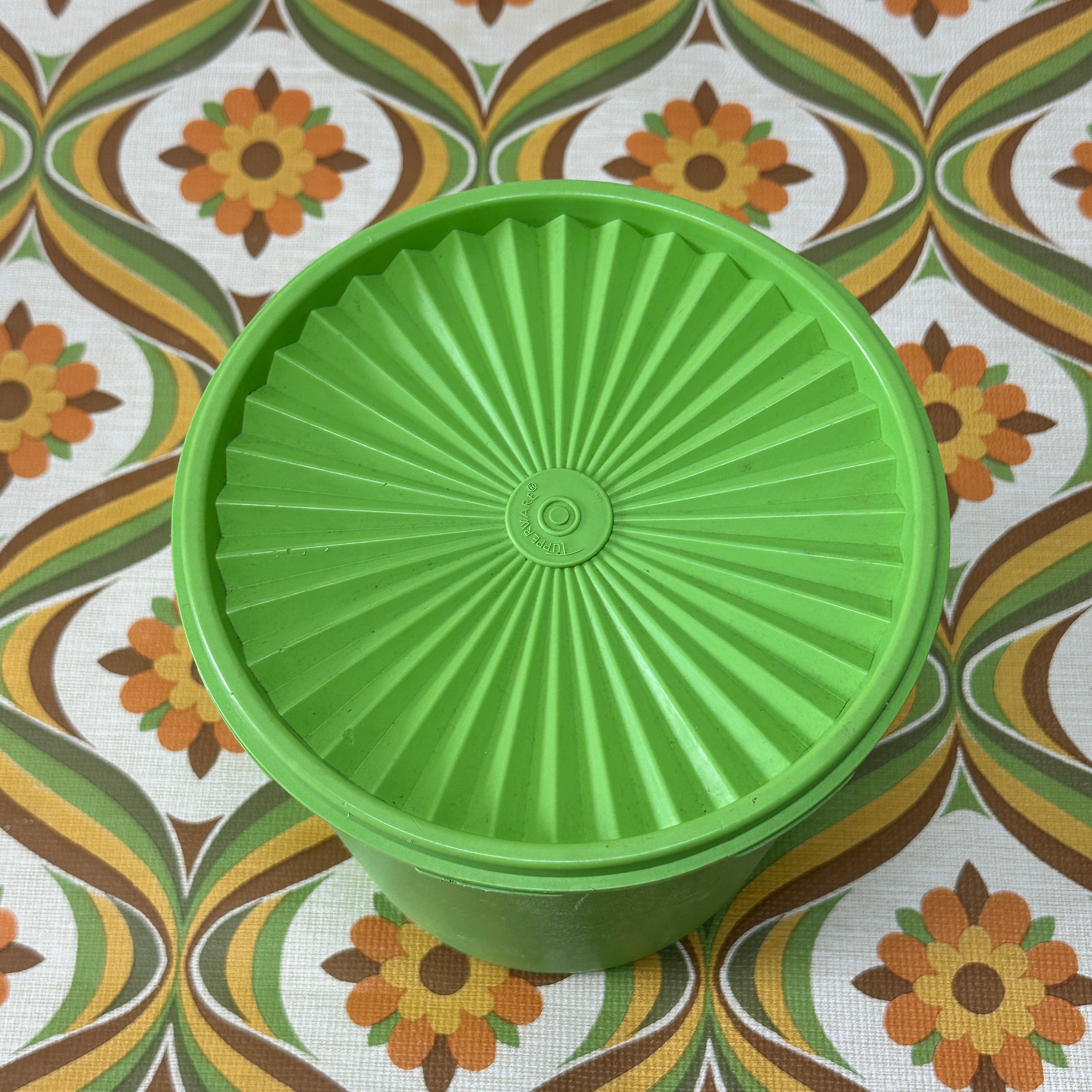 Extra Large Tupperware Container Green