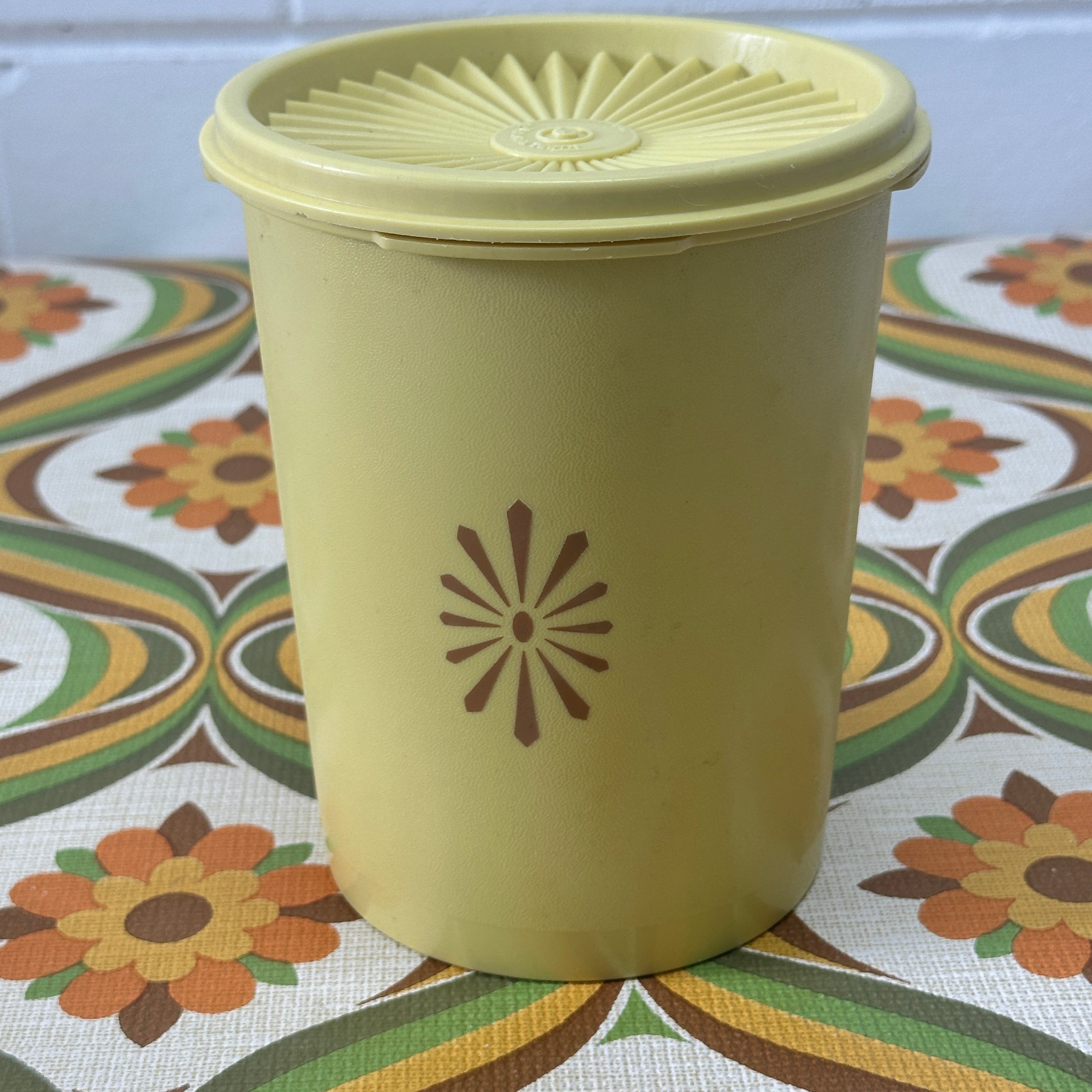 Large 70's Vintage Retro Tupperware