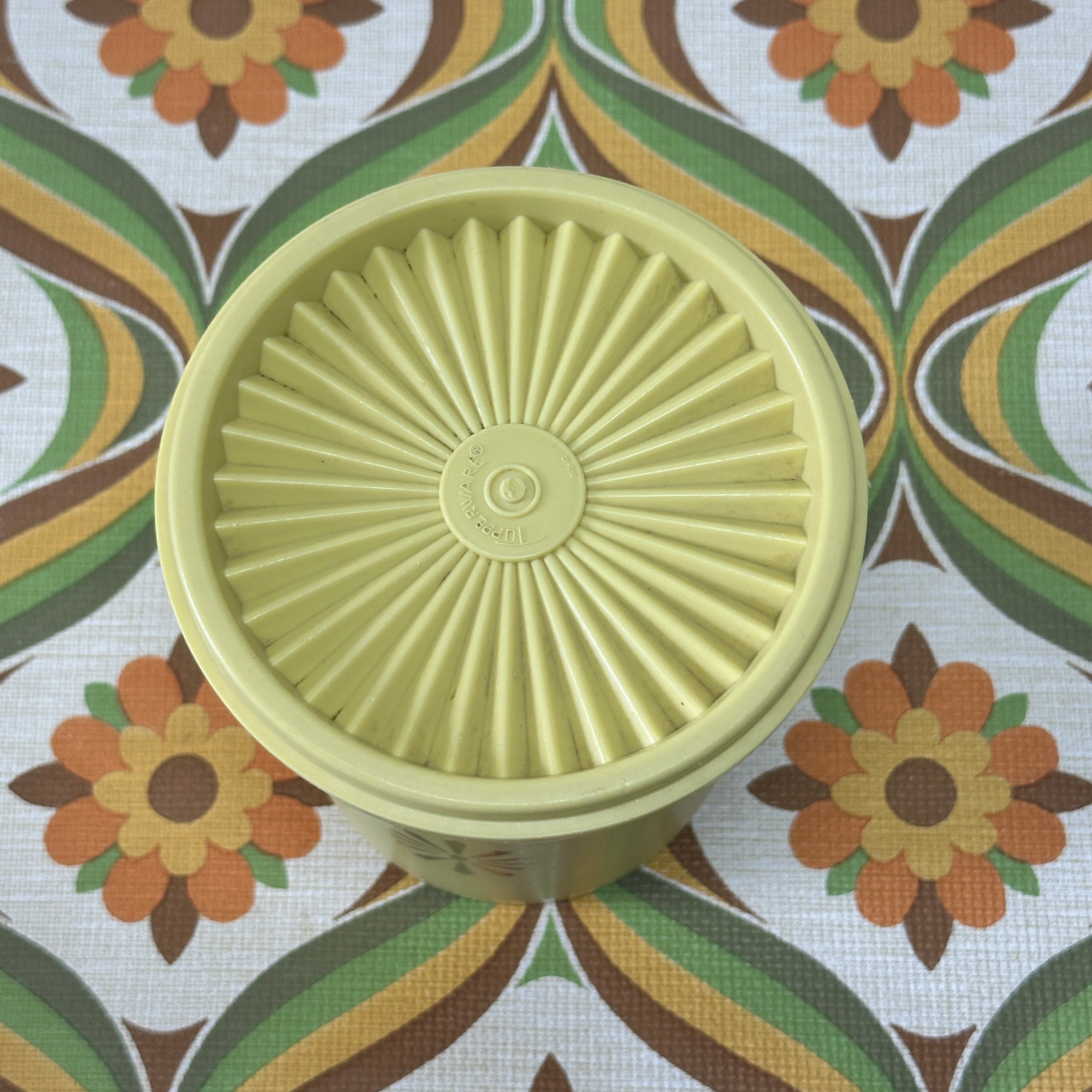 Large 70's Vintage Retro Tupperware