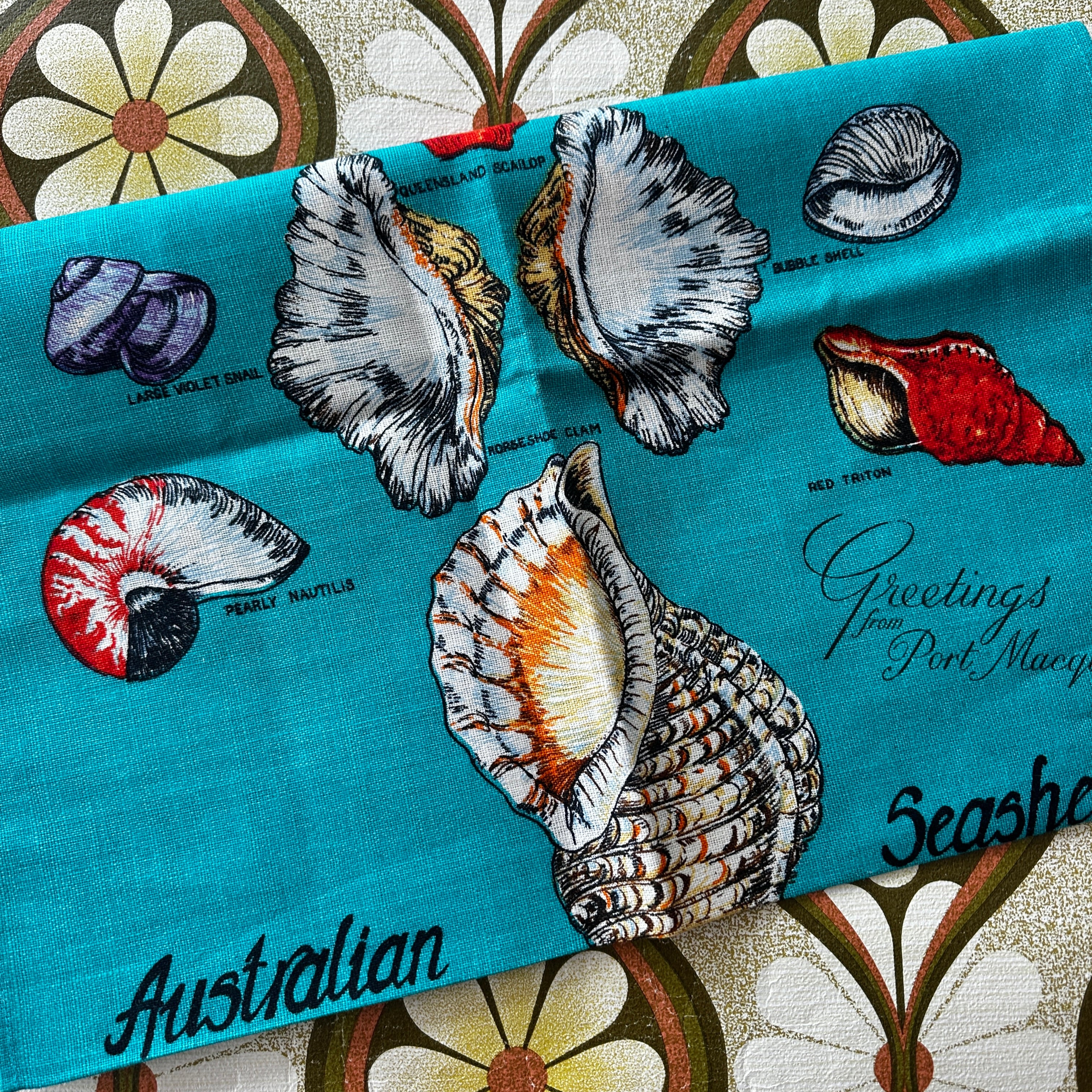 UNUSED Vintage AUSTRALIAN SEASHELLS Tea Towel
