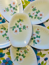 Six BESSEMER Plates Retro Floral AS NEW