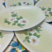 Six BESSEMER Plates Retro Floral AS NEW