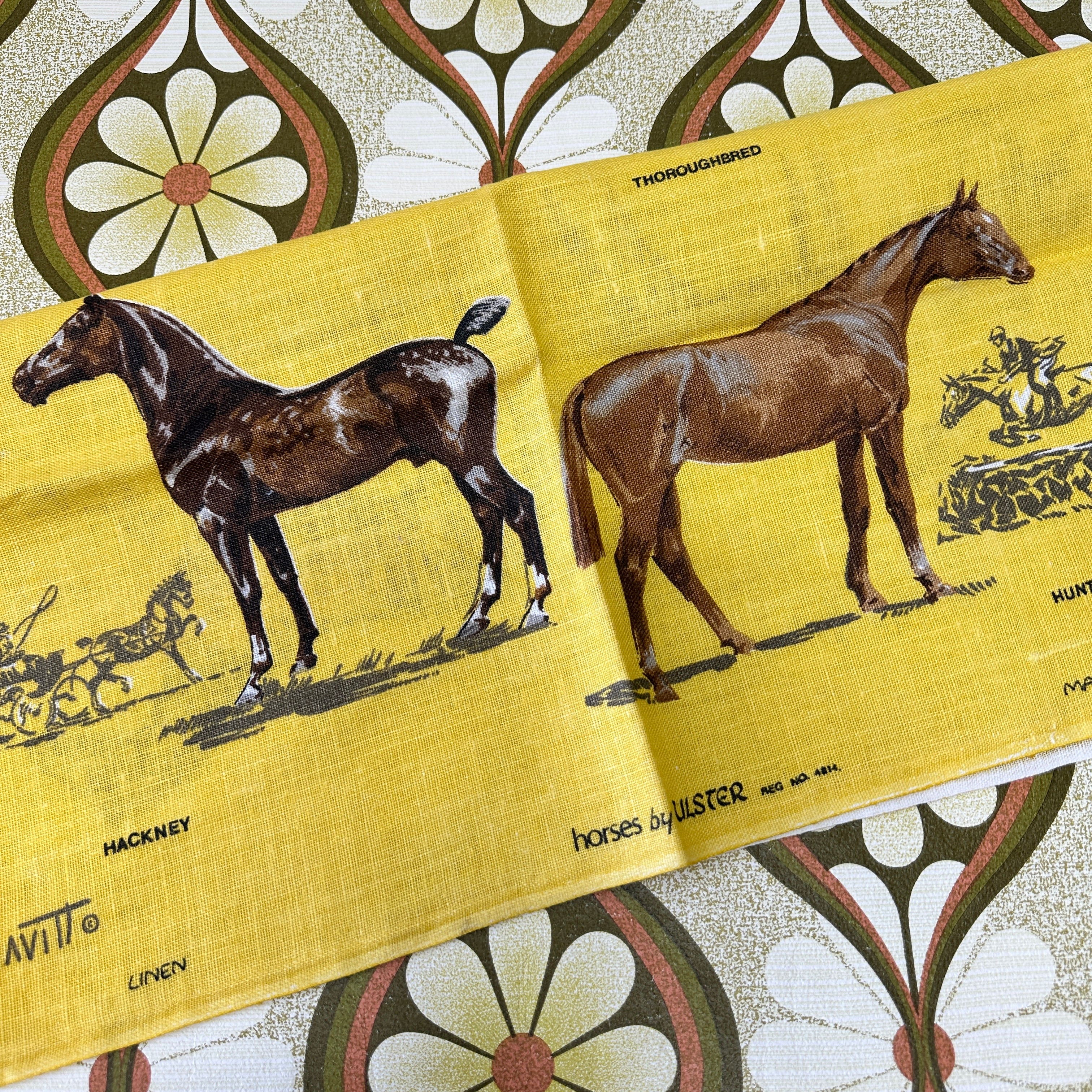 ULSTER Unused Vintage Horse Tea Towel