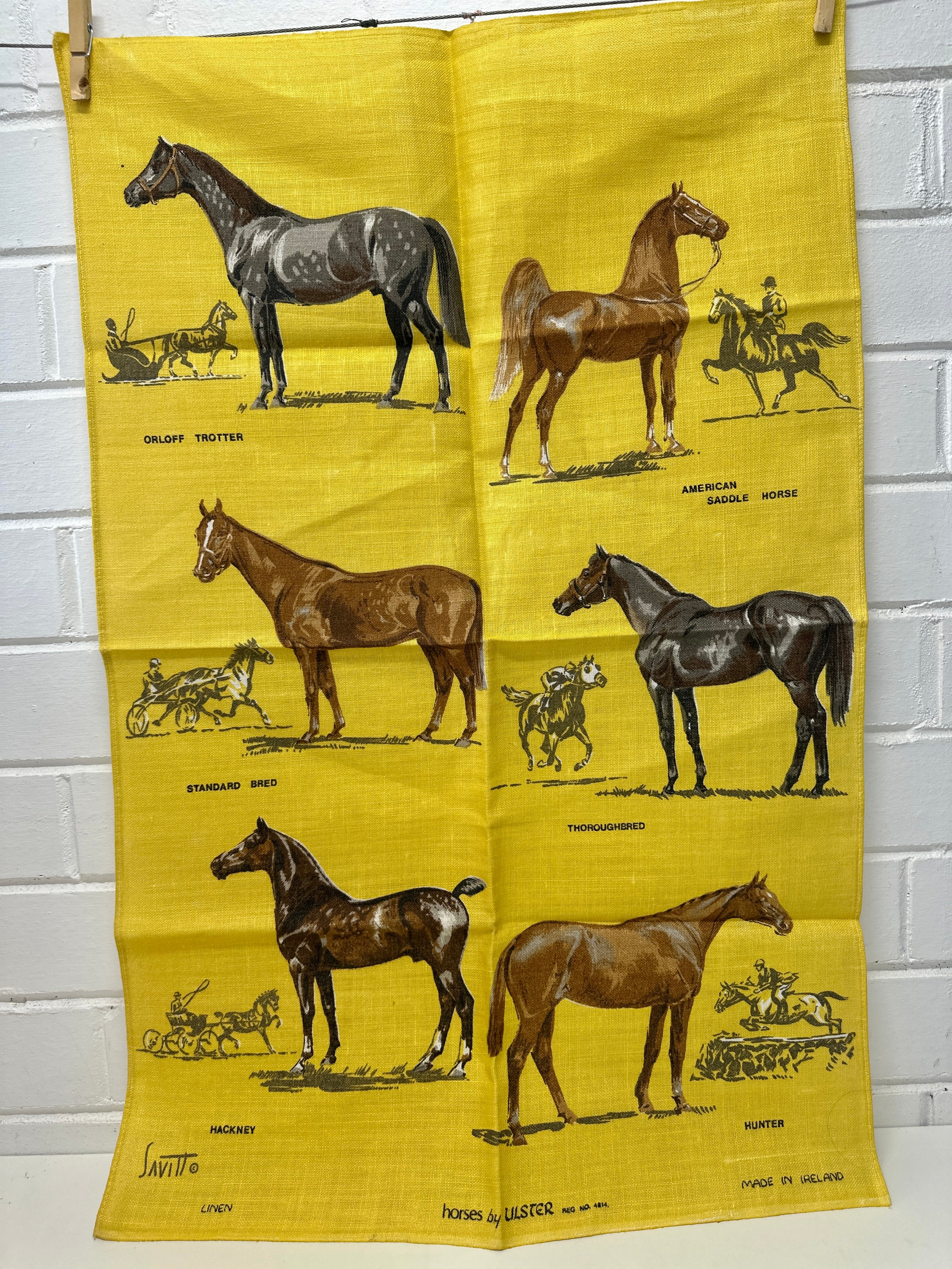 ULSTER Unused Vintage Horse Tea Towel