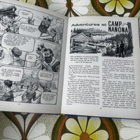 Vintage Bobbsey Twins Annual
