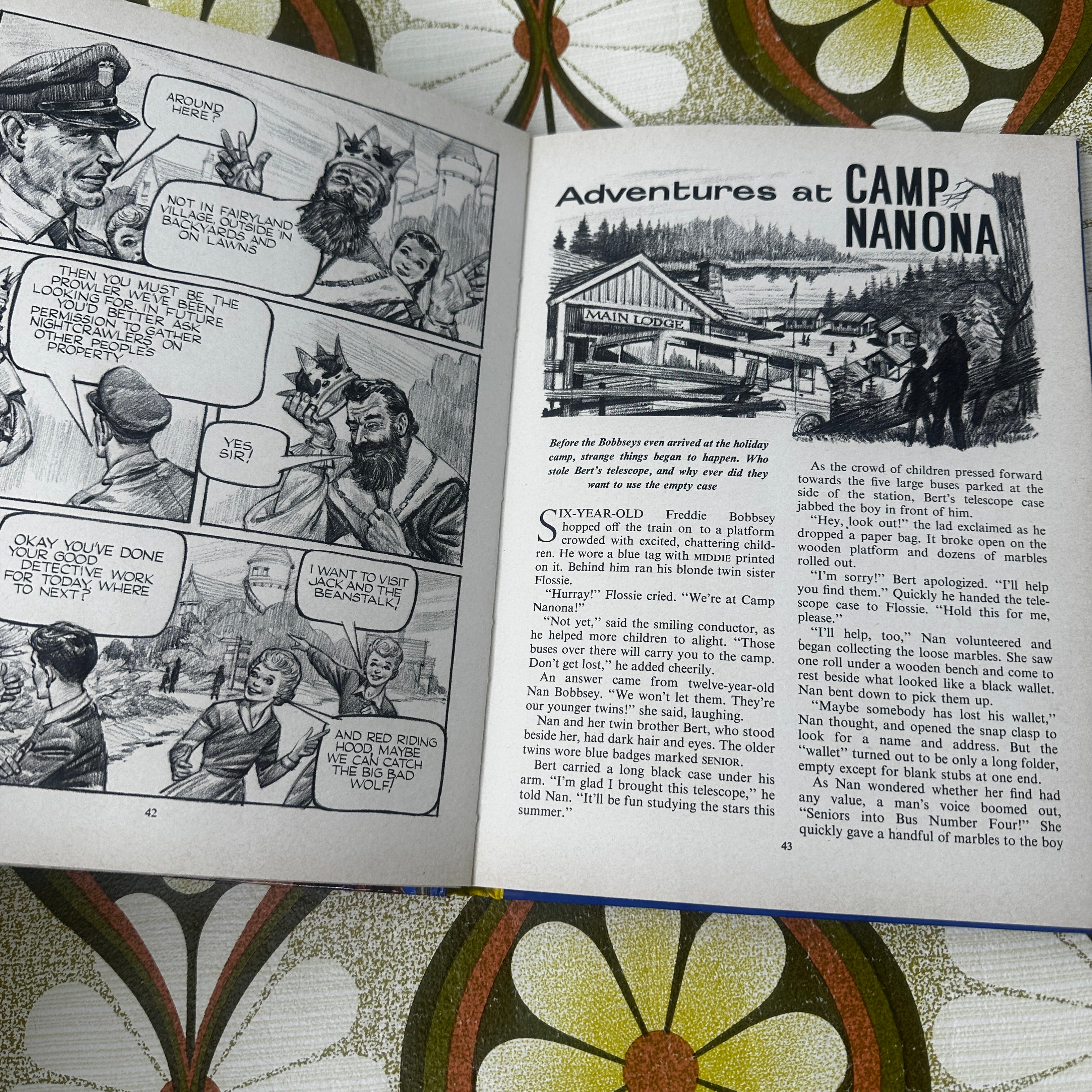 Vintage Bobbsey Twins Annual