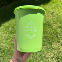 Awesome MEDIUM Green TUPPERWARE Container