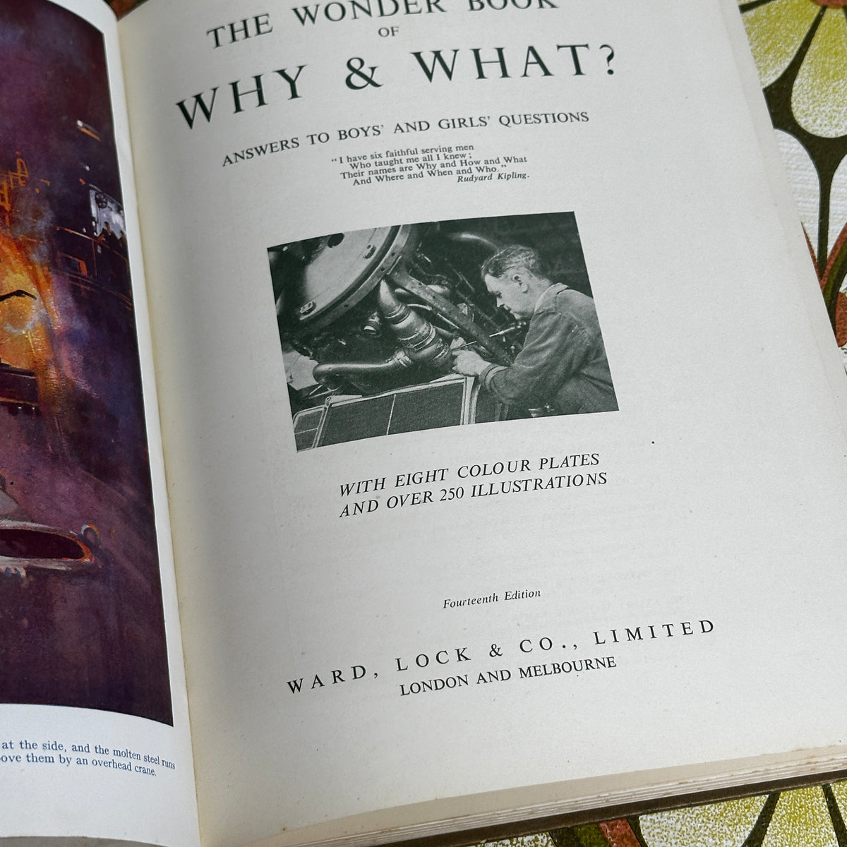 Vintage Wonder Book of Why & What? | Retro Children's Book