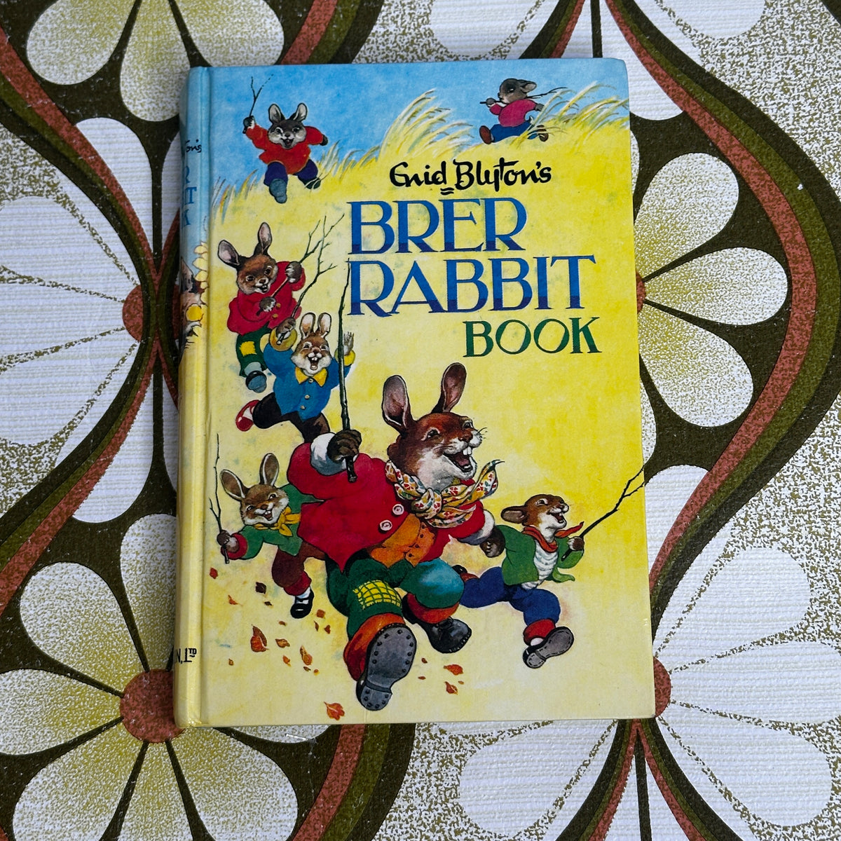 Vintage Enid Blyton Brer Rabbit Book | Illustrated by Grace Lodge