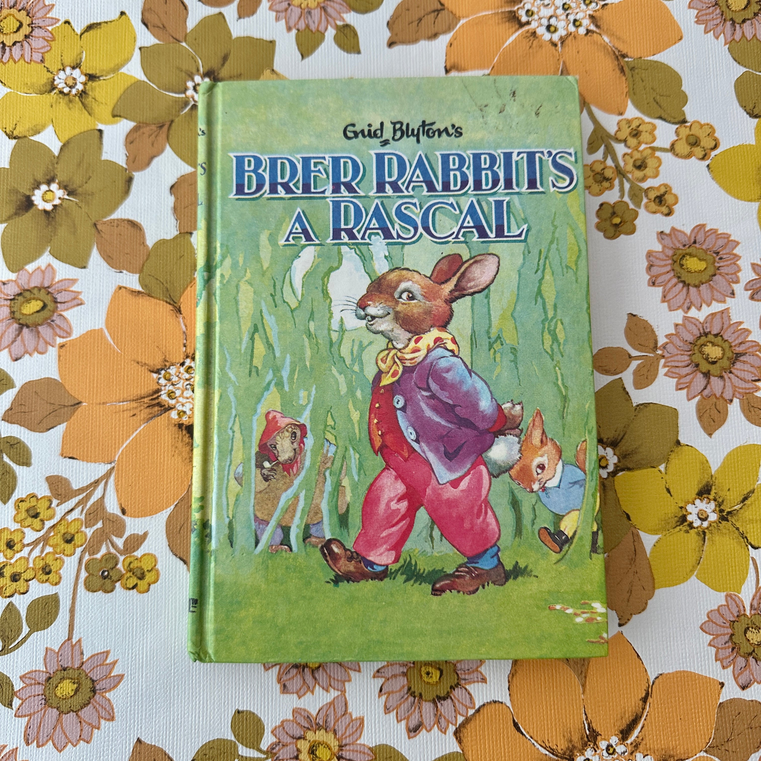 BRER Rabbits A Rascal ENID BLYTON – Pink Peacock