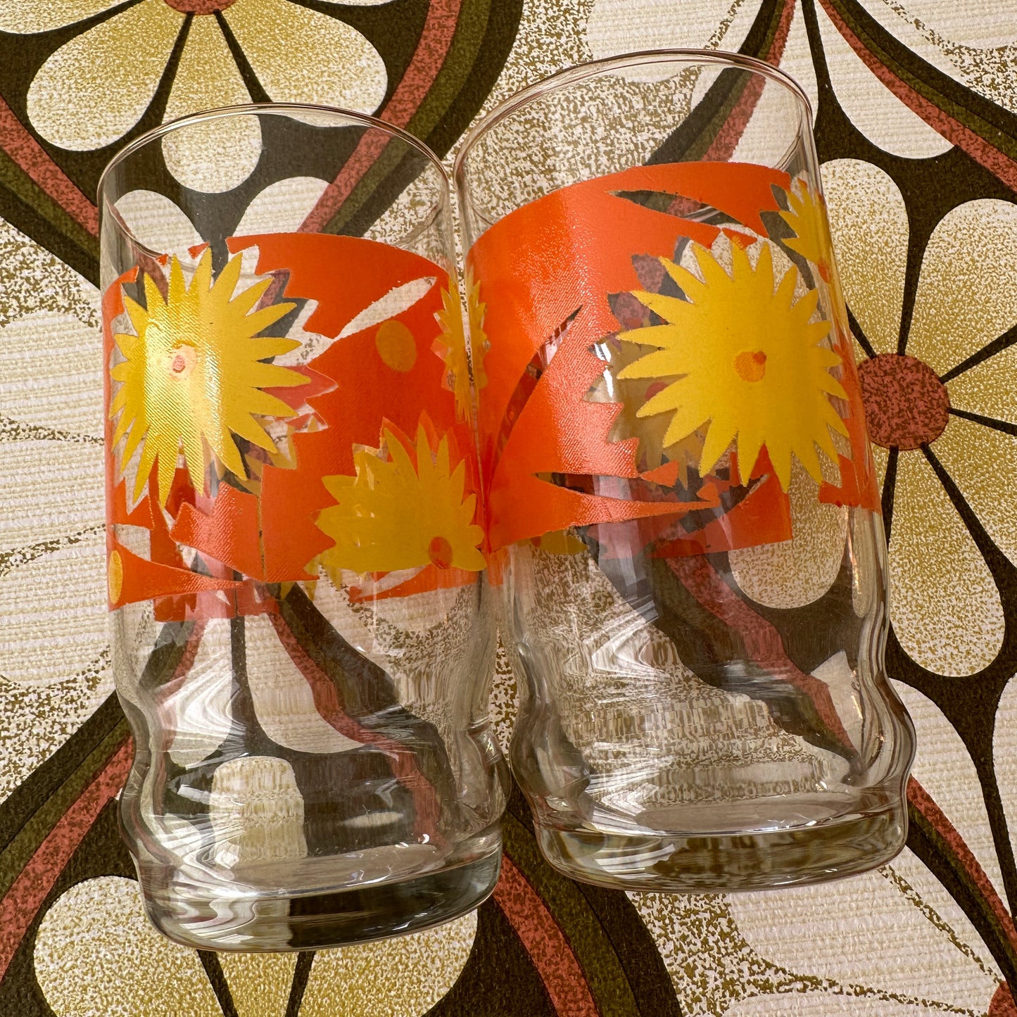 Vintage Flower POWER Glasses Pair