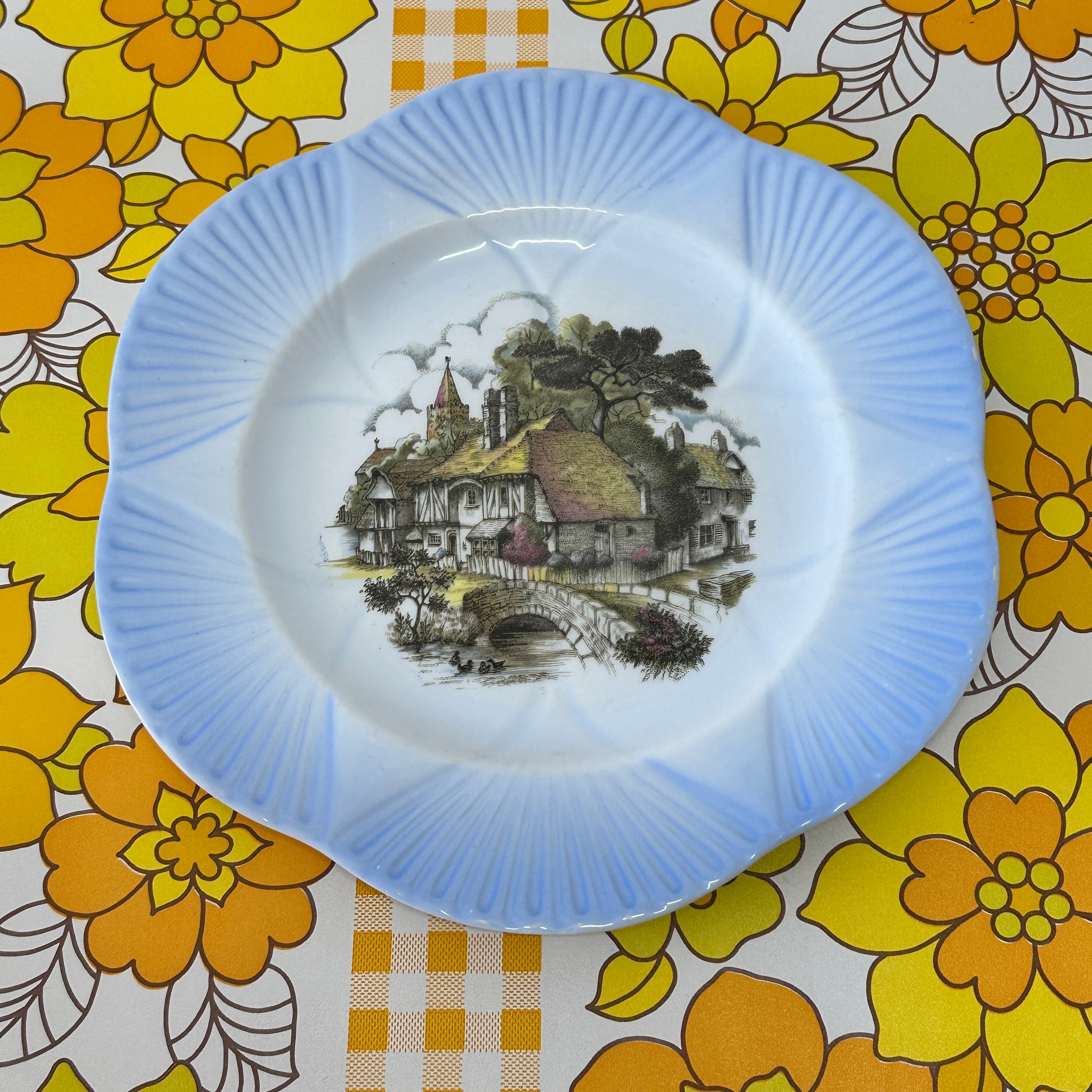 Vintage Retro Collectable SHELLEY Large Plate