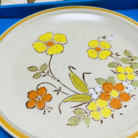 JAPAN Boxed Plate Cake Server RETRO