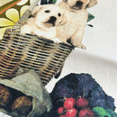 UNUSED Guide Dogs Tea Towel Rodriquez Linen