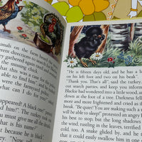 The Adventure of Blackie the Chick