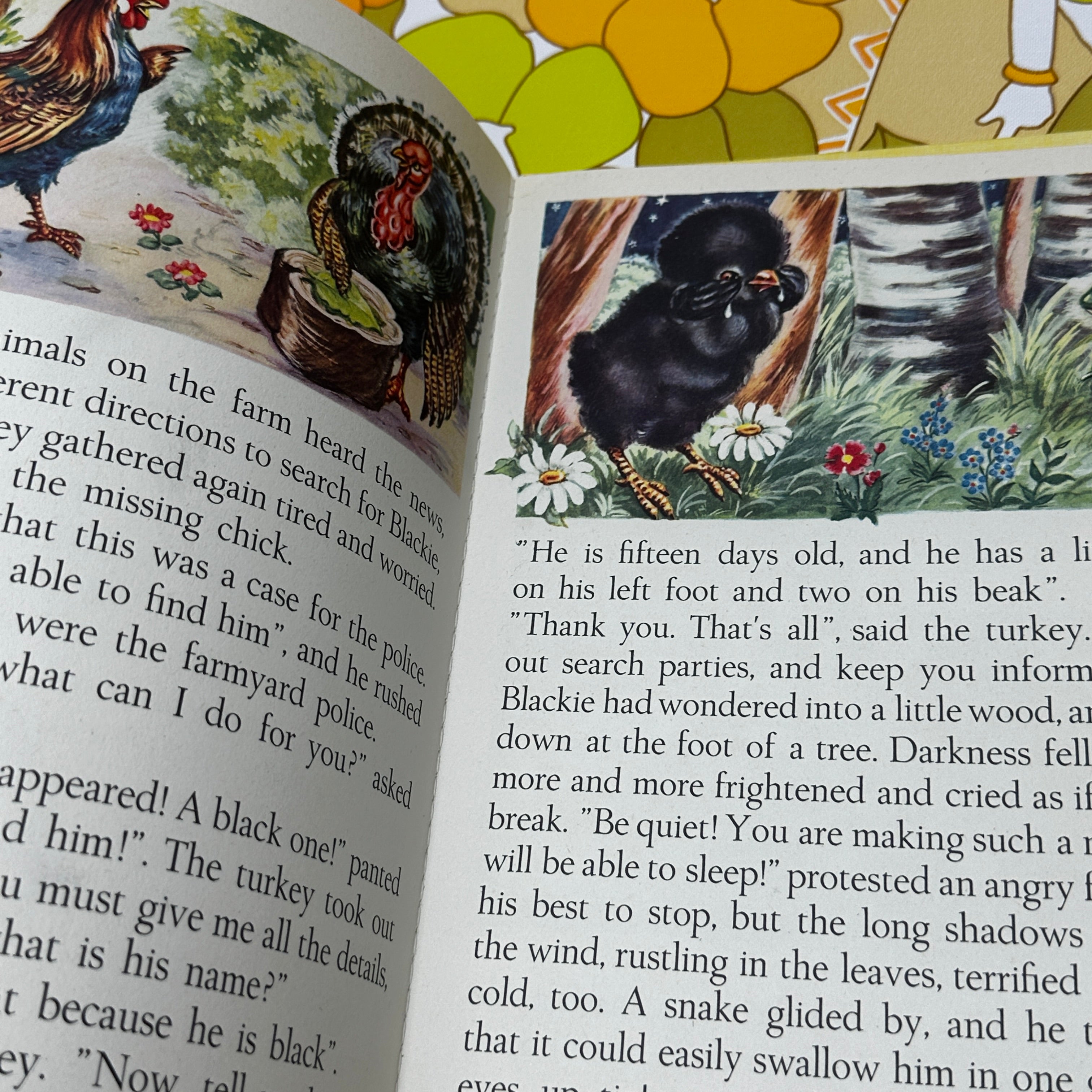 The Adventure of Blackie the Chick