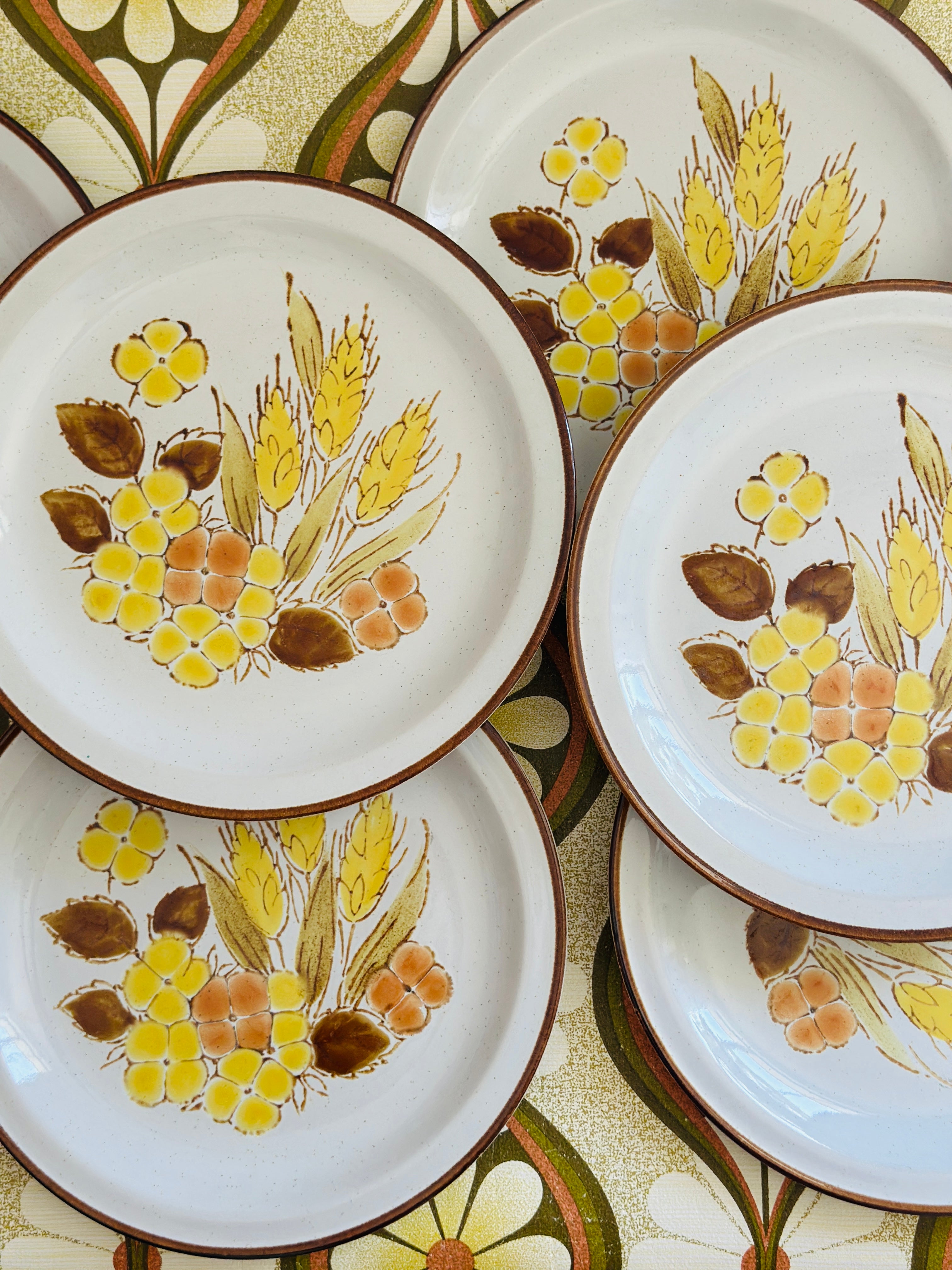 UNUSED Stoneware Japan Dinner Plate