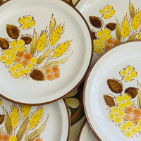 UNUSED Stoneware Japan Dinner Plate