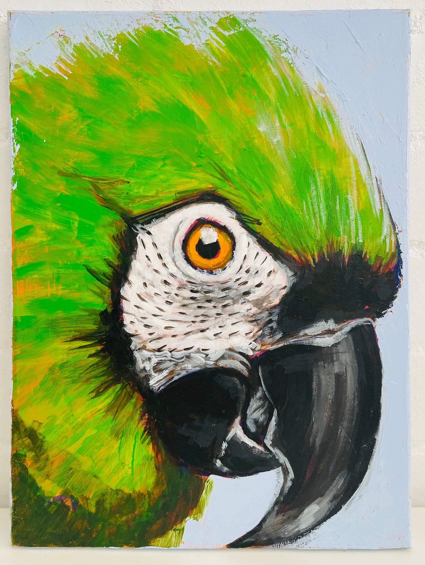 STRIKING Chestnut Fronted Macaw PAINTING Original ONE OF A KIND
