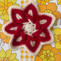 FAB Handmade Doily RED & White Pot Holder