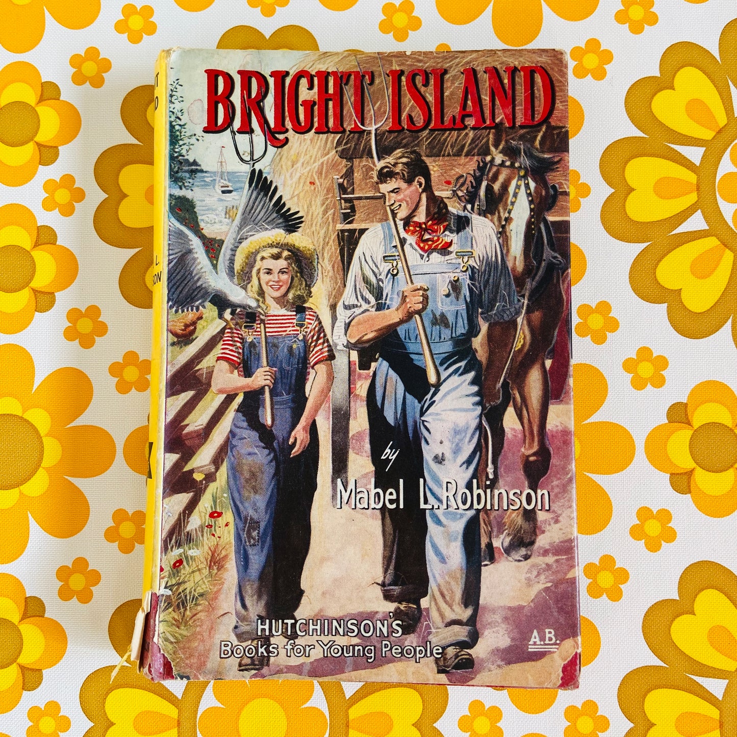 Bright Island - Mabel L Robinson