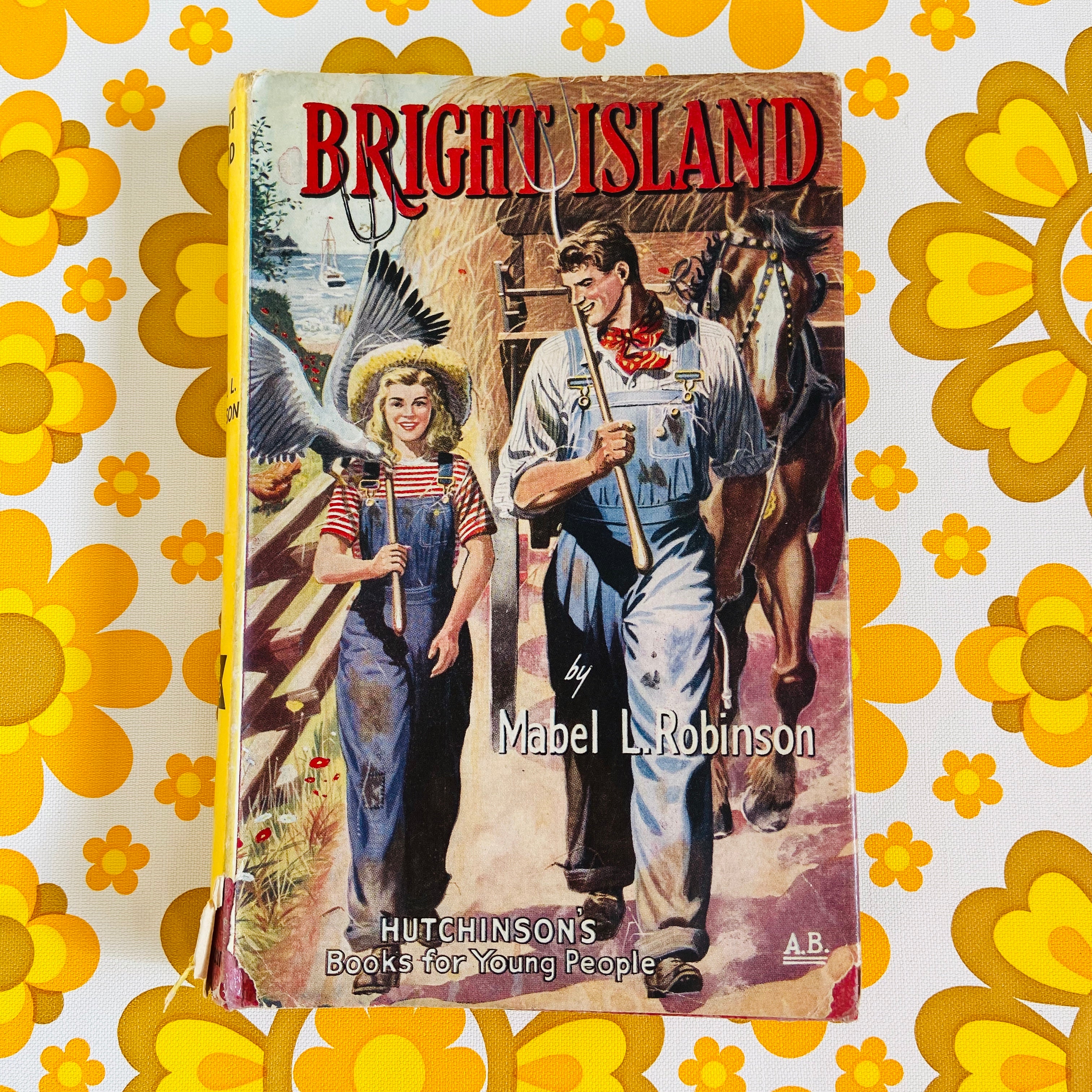 Bright Island - Mabel L Robinson