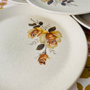 70's  Set of Four Large JOHNSON of Australia Plates FLORAL