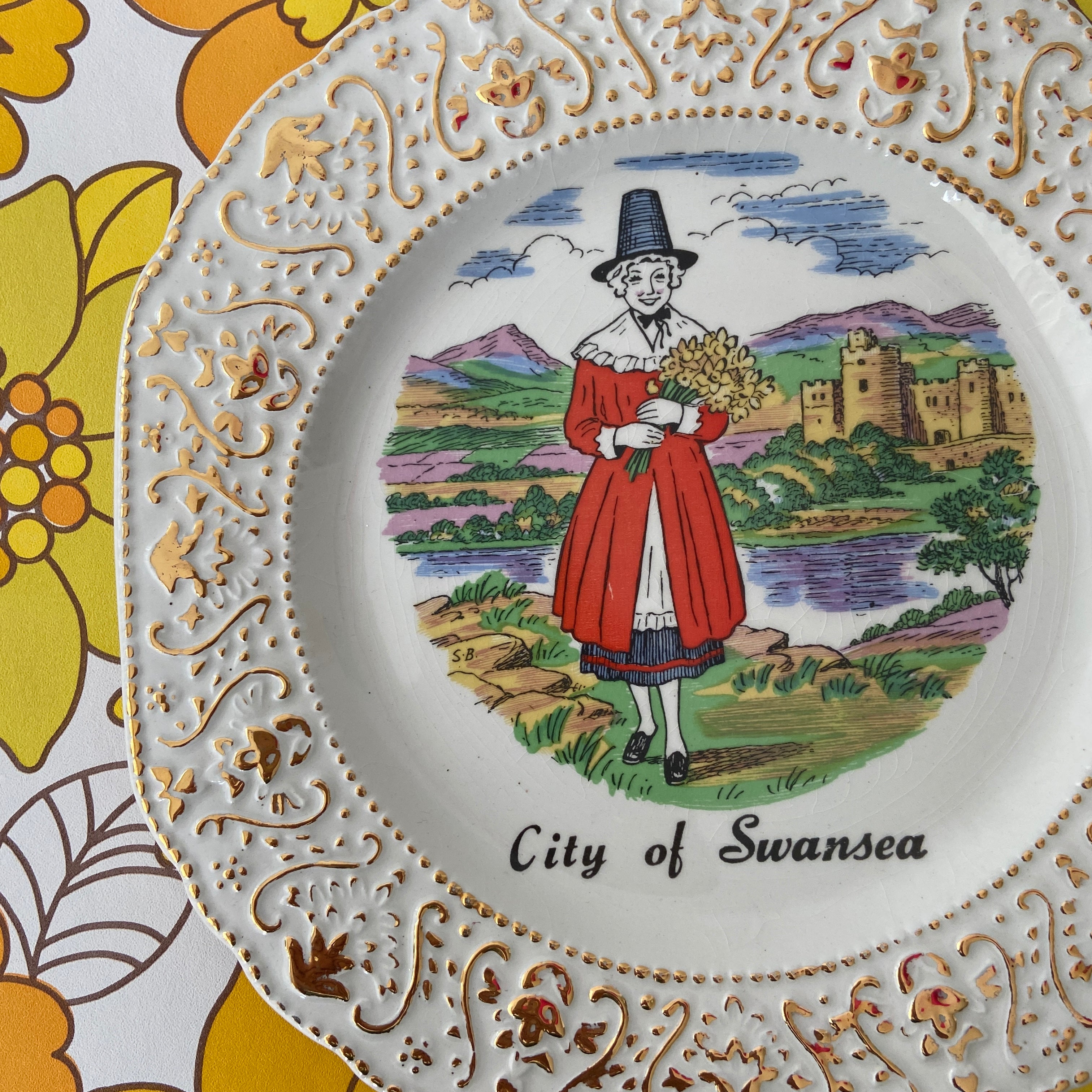 Souvenir City of Swansea PLATE Display Wall