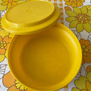 Large Vintage RETRO Tupperware Picnic Caravan DEEP