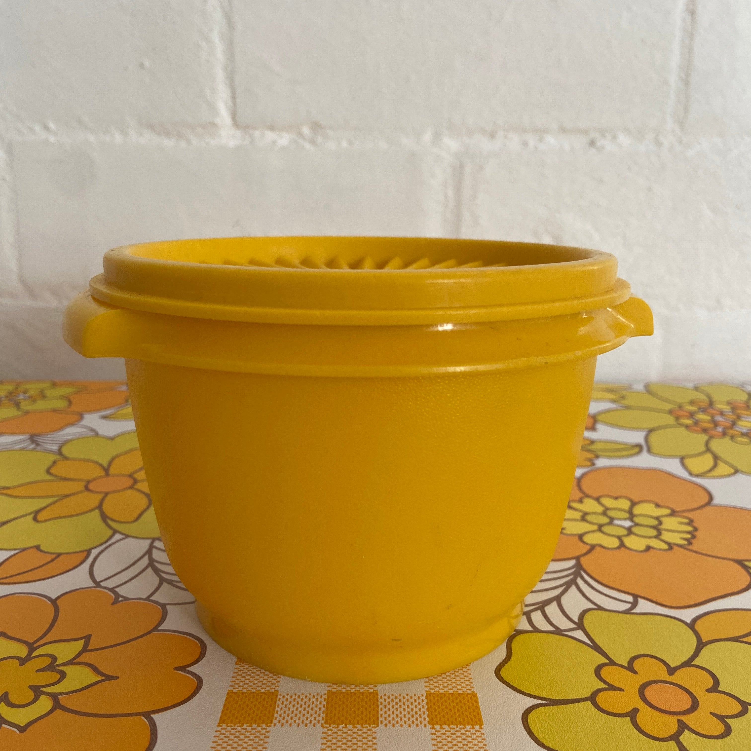 Retro 70's Tupperware Container Small CUTE