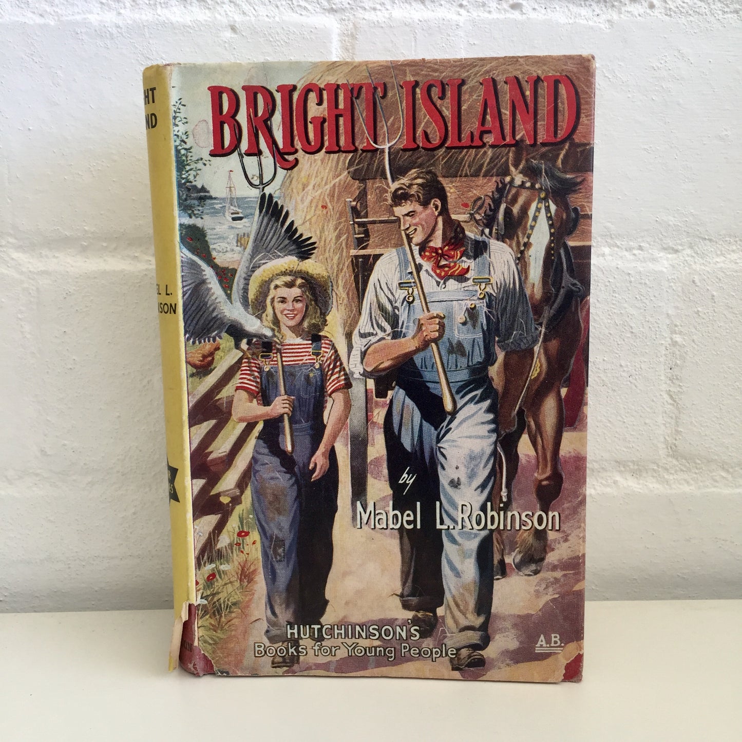 Bright Island - Mabel L Robinson